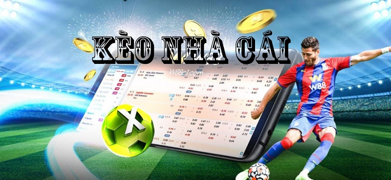 Cung cấp thông tin và phân tích các kèo nhà cái 1 cách chuyên sâu